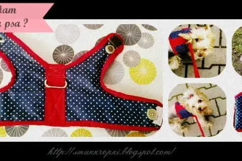 Jak uszyć szelki dla psa? Szybki poradnik DIY krok po kroku