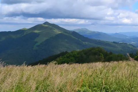 Łąka pełna traw na pierwszym planie, za nią zielone wzgórza i góry, idealne na połonina caryńska trasę.