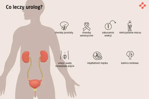 Urolog: Rozwiej obawy! Kiedy iść, co leczy, jak się przygotować?
