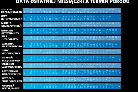 Ile tygodni trwa ciąża? Odkryj, jak liczyć i kiedy spodziewać się porodu