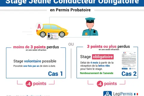 Le taux d'alcool autorisé pour un jeune conducteur en permis probatoire est implicitement abordé par les conséquences de la perte de points. L'image détaille les stages obligatoires ou volontaires selon le nombre de points perdus.