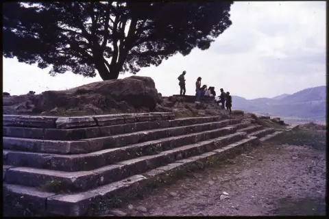 Vestiges du grand autel de Pergame, avec des marches de pierre et un groupe de visiteurs sous un grand arbre.