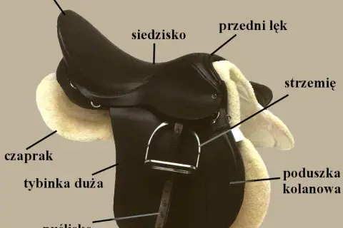 Ile waży siodło? Poznaj różnice w wadze i wpływ na komfort jazdy