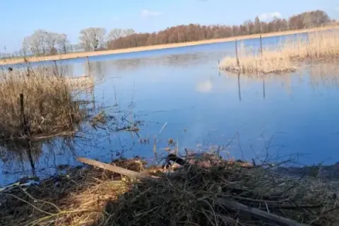 Jezioro Strykowskie: tajemnice, które warto poznać oraz atrakcje