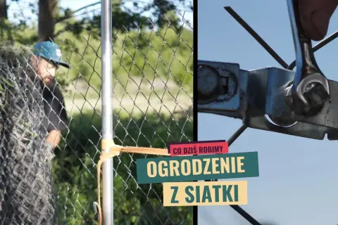Jak wykonać ogrodzenie z siatki – proste kroki i cenne wskazówki