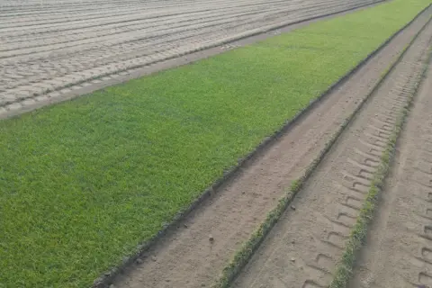 Pole z równo przyciętą trawą, obok przygotowana ziemia z widocznymi śladami po maszynach, sugerującymi wertykulację i aerację.