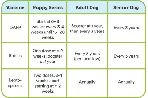 Chart shows how often dogs need shots: DAPP every 3 years for adults/seniors, Rabies every 3 years, Leptospirosis annually.