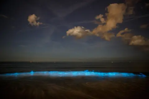 Nocne Malediwy, gdzie morze gwiazd rozświetla fale. Niebo pełne gwiazd i chmur nad spokojnym oceanem.