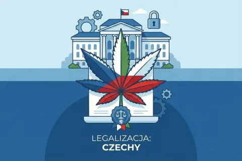 Konopie w Czechach: symbol liścia marihuany z flagą Czech przed budynkiem rządowym. Czy marihuana jest legalna w Czechach?