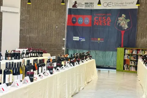 Banchetti pieni di bottiglie di vino, tra cui il Cesanese del Piglio, in un evento dedicato alla cultura enogastronomica.