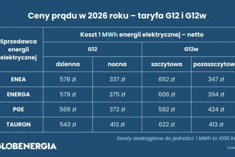 1 kWh prądu 2026: Znamy ceny! Ile zapłacisz i jak oszczędzić?
