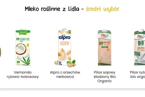 Jakie mleko roślinne wybrać? Porównanie smaków i wartości odżywczych