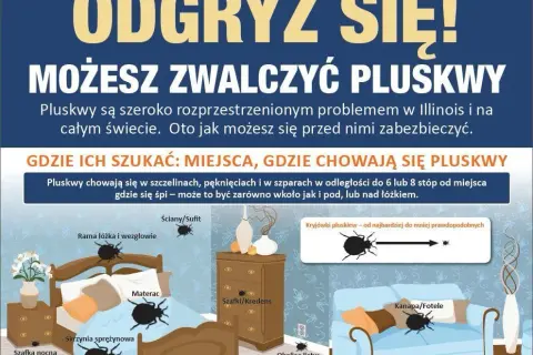 Czy pluskwy przechodzą z mieszkania do mieszkania? Sprawdź, jak się chronić