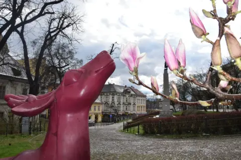 Różowa rzeźba jelenia na tle kwitnącej magnolii i kamiennych uliczek Cieszyna. Szlak magnolii w Cieszynie zaprasza do spacerów.