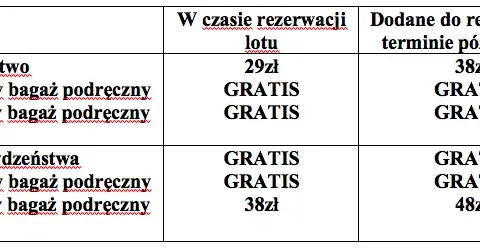 Bagaż rejestrowany Ryanair – co to jest i ile kosztuje?