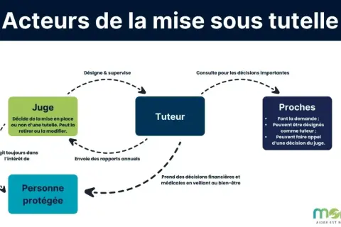Schéma des acteurs de la tutelle : juge, tuteur, proches et personne protégée. Les proches peuvent devenir tuteur d'un membre de leur famille.