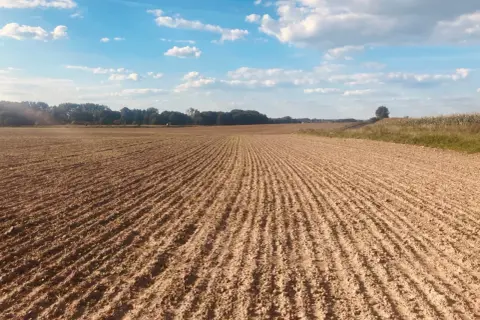 Pole uprawne z rzędami młodych roślin, gotowe na nawozy wieloskładnikowe. Błękitne niebo z chmurami.