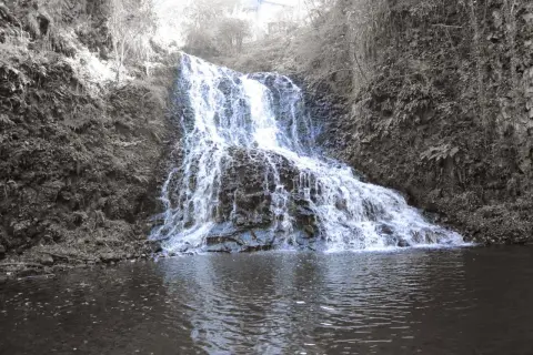 La cascade des Saliens dévale une paroi rocheuse verdoyante, se jetant dans un bassin paisible.