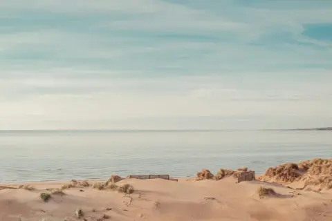 Sanddyner och gräs vid en lugn strand i Halland. Havet möter en ljus himmel med tunna moln.