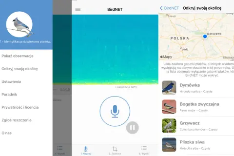 Aplikacja BirdNET do rozpoznawania ptaków. Na ekranie mapa Polski, spektrogram dźwięku i lista gatunków: Dymówka, Bogatka, Grzywacz, Pliszka.