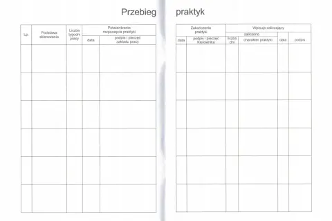 Jak wypełnić dziennik praktyk opiekun w żłobku - uniknij błędów