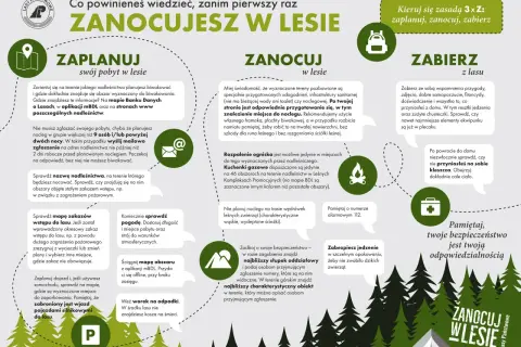 Planujesz nocleg w lesie? Sprawdź, co zabrać pod namiot: mapę, prognozę pogody, worek na śmieci i zabezpieczone jedzenie. Pamiętaj o bezpieczeństwie!