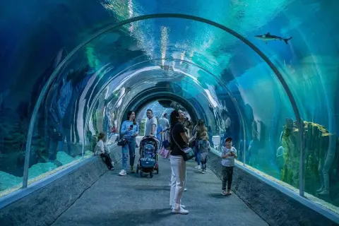 Ludzie spacerują pod wodą w tunelu orientarium, podziwiając rekiny i inne morskie stworzenia.