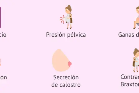 Ilustraciones de síntomas de embarazo: cansancio, presión pélvica, ganas de orinar, hinchazón, secreción de calostro y contracciones.