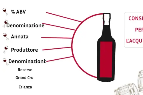 Consigli per l'acquisto di un vino, come un ottimo **cabernet sauvignon**, con dettagli su ABV, denominazione, annata, produttore e classificazioni.