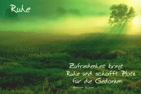 Grüne Wiese im Nebel, Sonnenstrahlen durch einen Baum. "Zufriedenheit bringt Ruhe und schafft Platz für die Gedanken", wie Buddha lehrte.