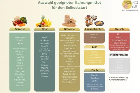 Infografik zur Beikost im Urlaub: Geeignete Lebensmittel wie Gemüse, Obst, Getreide, Hülsenfrüchte, Eier, Fisch, Fleisch und Milchprodukte.