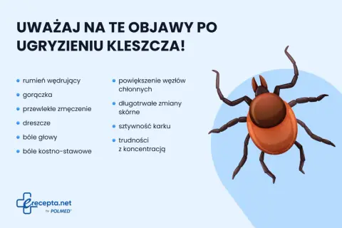 Objawy po ugryzieniu kleszcza: rumień, gorączka, zmęczenie, bóle głowy, powiększone węzły chłonne, sztywność karku. Zwróć uwagę na te symptomy.