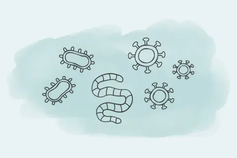 Bakterien, Viren und ein Wurm – Symbole für ansteckende Krankheiten, die uns alle betreffen können.