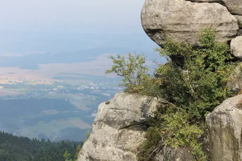 Góry stołowe z dziećmi w oddali, na pierwszym planie skalne formacje porośnięte zielenią.