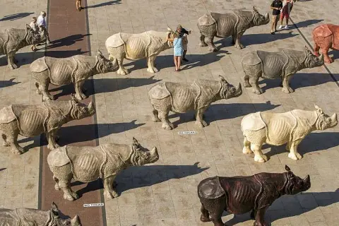Una manada de rinocerontes de piedra decora la plaza del Pilar, algunos con carteles de "No tocar".