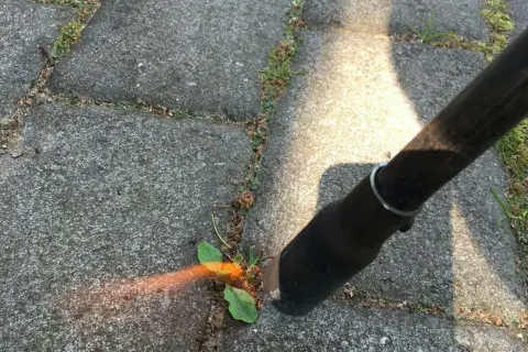 Verktyg används för att rensa mellan plattor. En liten planta med gröna blad syns, omgiven av grus och sprickor i stenläggningen.