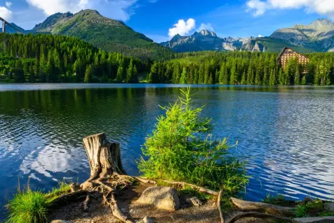 Jezioro otoczone lasem i górami, przypomina o tym, ile jest parków narodowych.