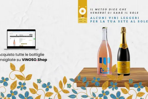 Vino rosa frizzante e spumante giallo, perfetti per la sete al sole. Scopri se il tuo pinot grigio è fermo o frizzante su VINOSO.Shop.