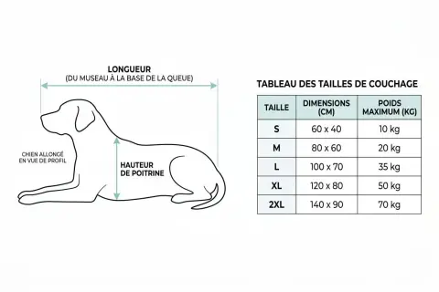Illustration d'un chien allongé avec mesures et tableau des tailles de couchage.