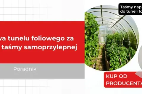 Naprawa folii tunelu: Jak skutecznie załatać dziurę?