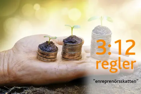 En hand håller tre myntstaplar med växande plantor. Texten "3:12 regler" och "entreprenörsskatten" antyder en berättelse om företagande.