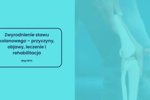 Model stawu kolanowego z tekstem o zwyrodnieniu.