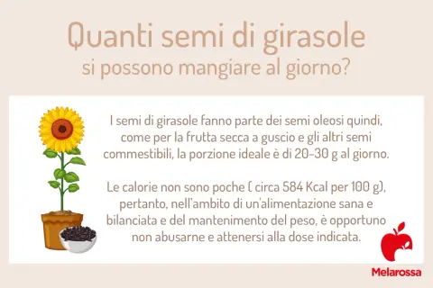 Semi di girasole: la porzione ideale è 20-30g. Attenzione alle calorie e alle controindicazioni se se ne abusa.
