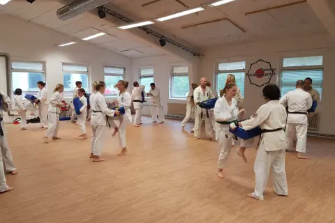 Goju ryu karate-utövare tränar sparkar och slag med kuddar i en dojo.
