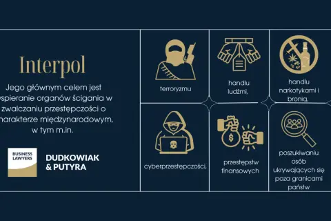 Interpol zwalcza terroryzm, handel ludźmi, narkotykami i bronią, cyberprzestępczość, przestępstwa finansowe i poszukuje osób ukrywających się za granicą, co stanowi międzynarodową sankcję.