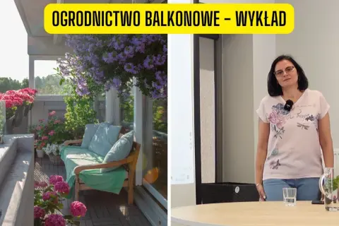 Kwiaty na balkon: Wybór, sadzenie i pielęgnacja kompletny przewodnik