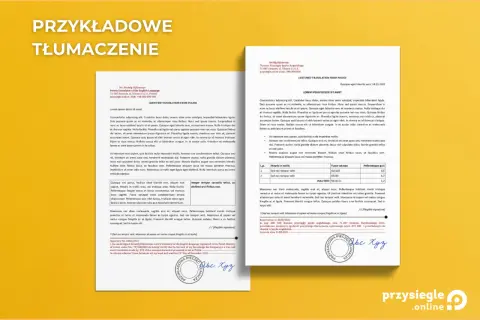 Tłumaczenie przysięgłe: Przewodnik, jak rozpoznać i zlecić dokument?