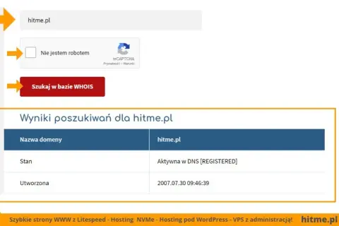 Jak sprawdzić, gdzie zarejestrowana jest domena? WHOIS i RODO