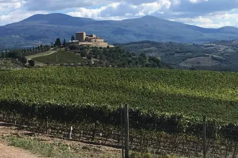 Un borgo fortificato domina le dolci colline toscane, circondato da vigneti rigogliosi. Le vie del Chianti offrono panorami mozzafiato.