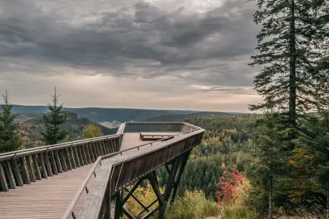 Holzsteg-Aussichtsplattform mit Blick über den bunten Schwarzwald. Ein echter **Geheimtipp Baiersbronn** für Naturliebhaber.